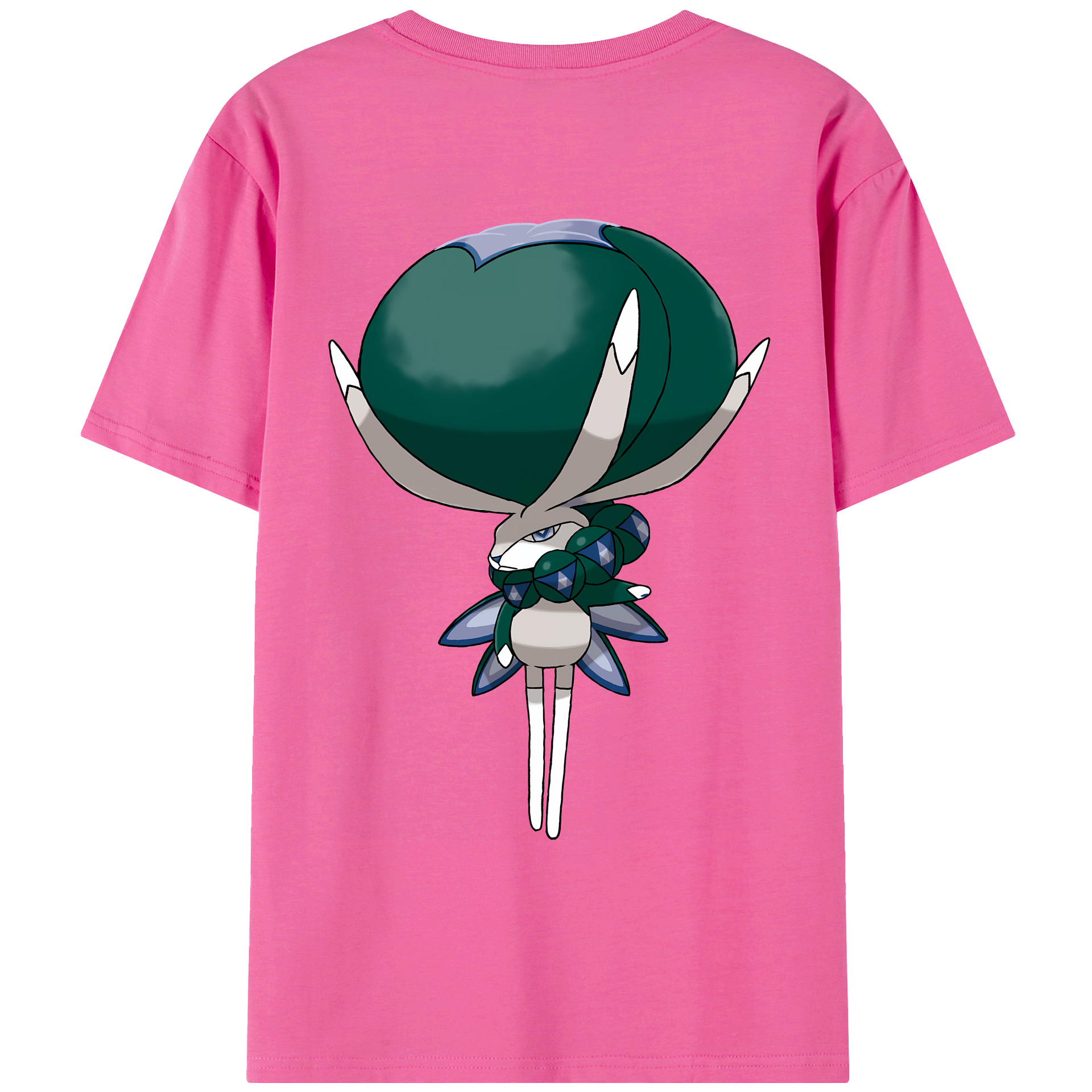 （画像用） ポケットモンスター Pokémon レディース半袖Tシャツ(バックプリント)
